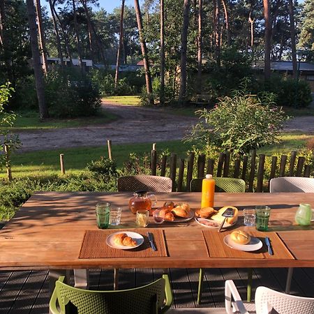 Natuurhuisje Pine & Oak 6 Persoons Hardenberg Kültér fotó
