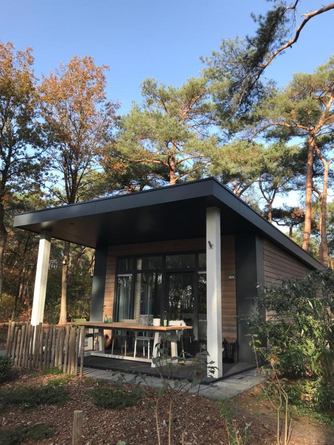 Natuurhuisje Pine & Oak 6 Persoons Hardenberg Kültér fotó