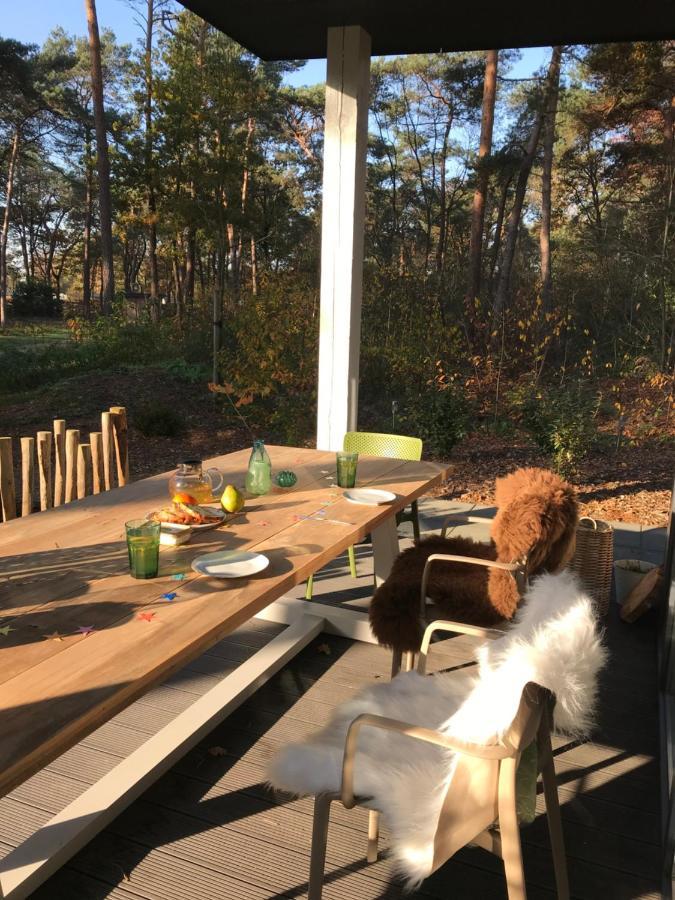 Natuurhuisje Pine & Oak 6 Persoons Hardenberg Kültér fotó
