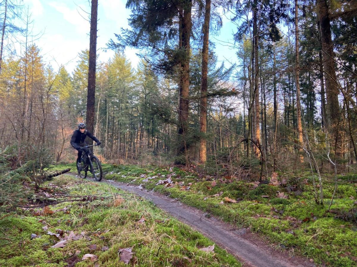 Natuurhuisje Pine & Oak 6 Persoons Hardenberg Kültér fotó