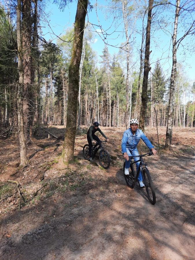Natuurhuisje Pine & Oak 6 Persoons Hardenberg Kültér fotó