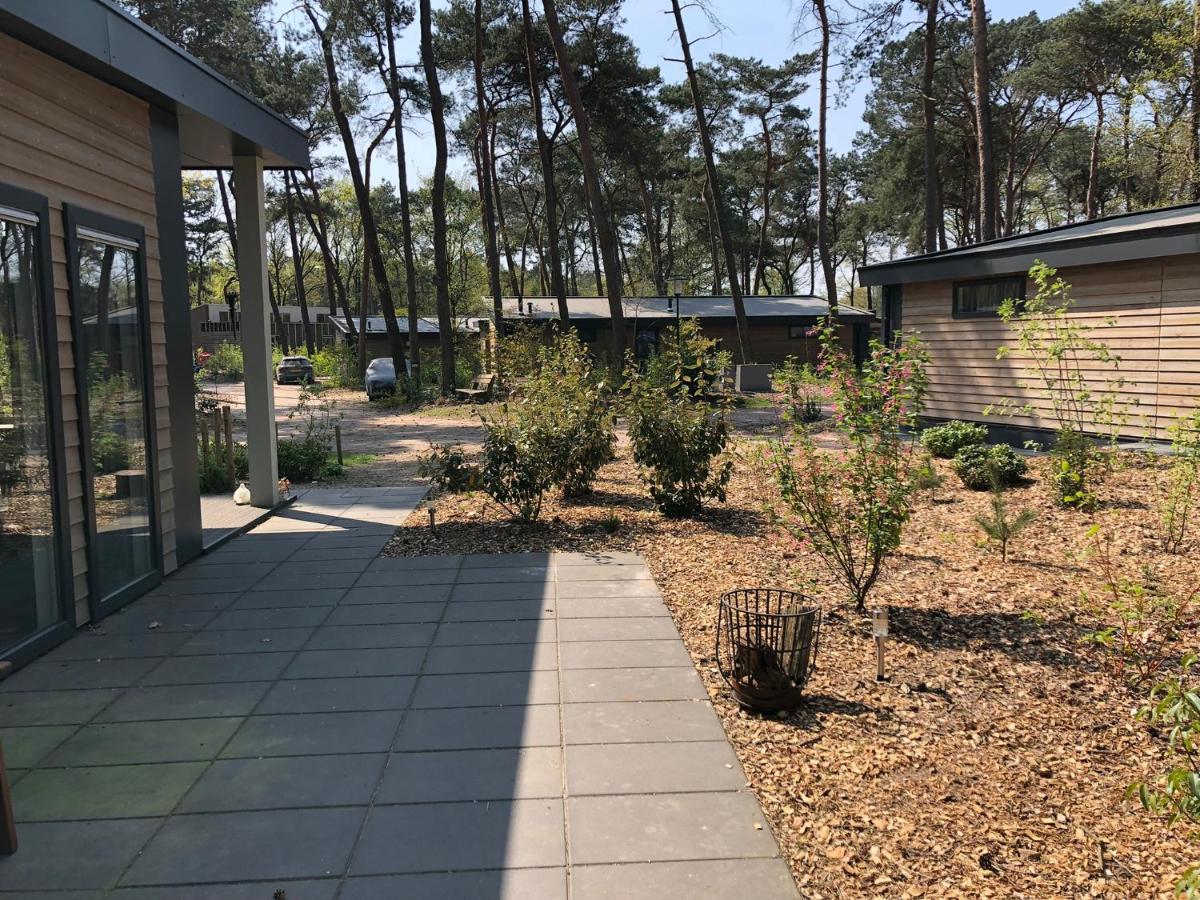 Natuurhuisje Pine & Oak 6 Persoons Hardenberg Kültér fotó