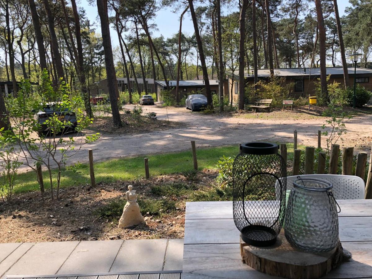 Natuurhuisje Pine & Oak 6 Persoons Hardenberg Kültér fotó