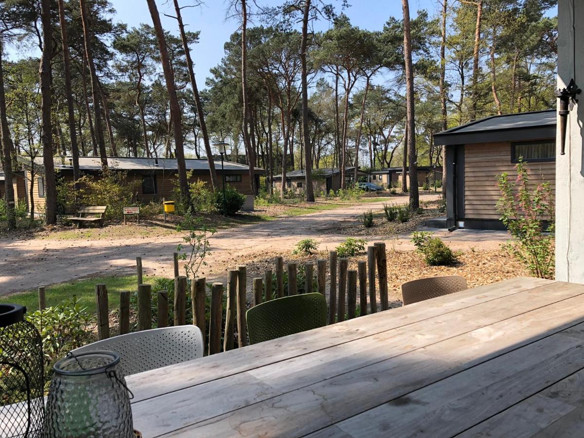 Natuurhuisje Pine & Oak 6 Persoons Hardenberg Kültér fotó
