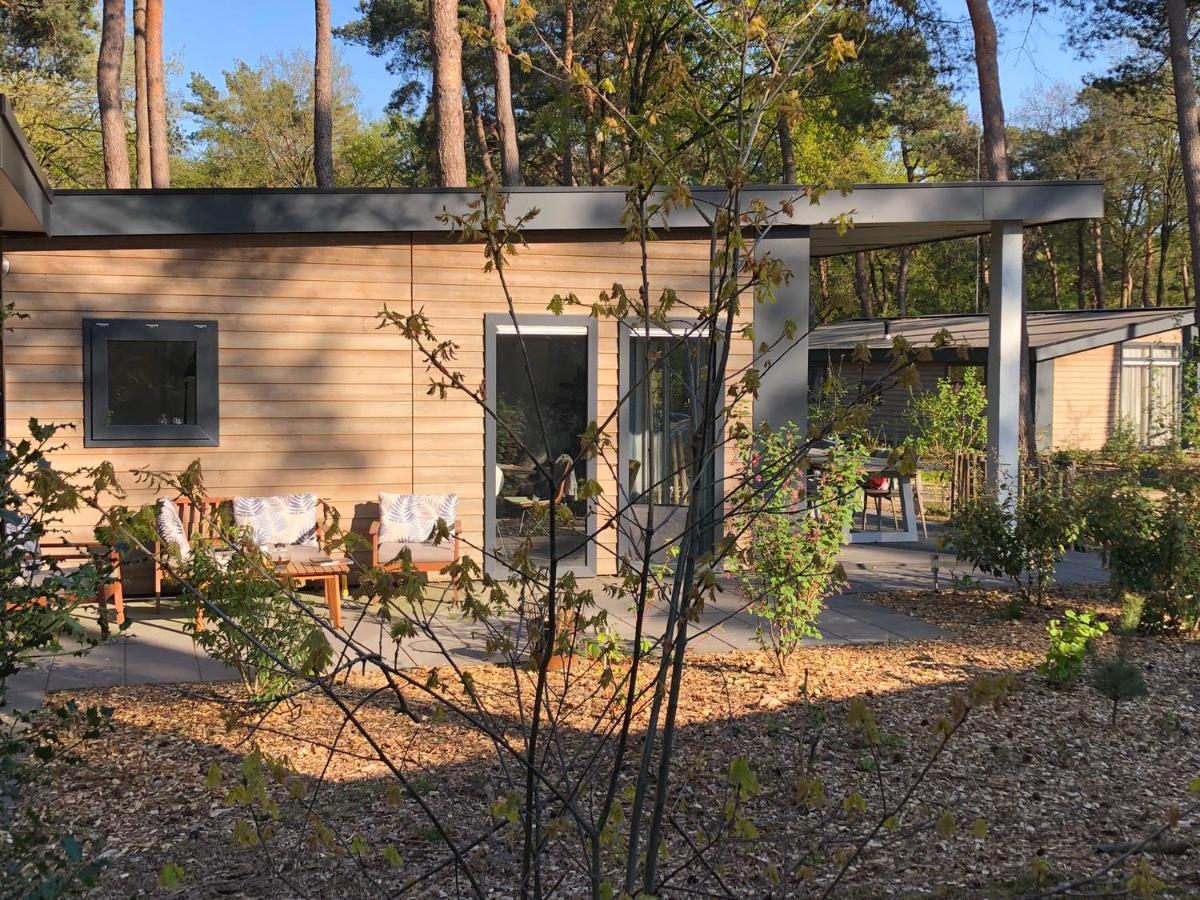 Natuurhuisje Pine & Oak 6 Persoons Hardenberg Kültér fotó