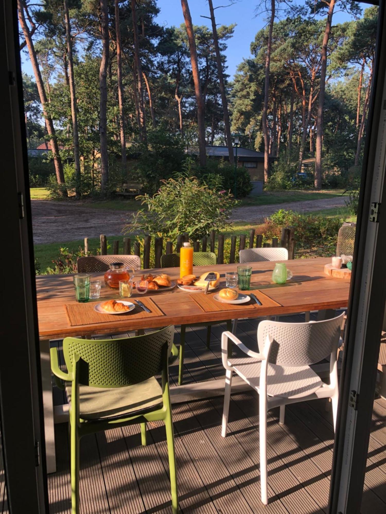 Natuurhuisje Pine & Oak 6 Persoons Hardenberg Kültér fotó