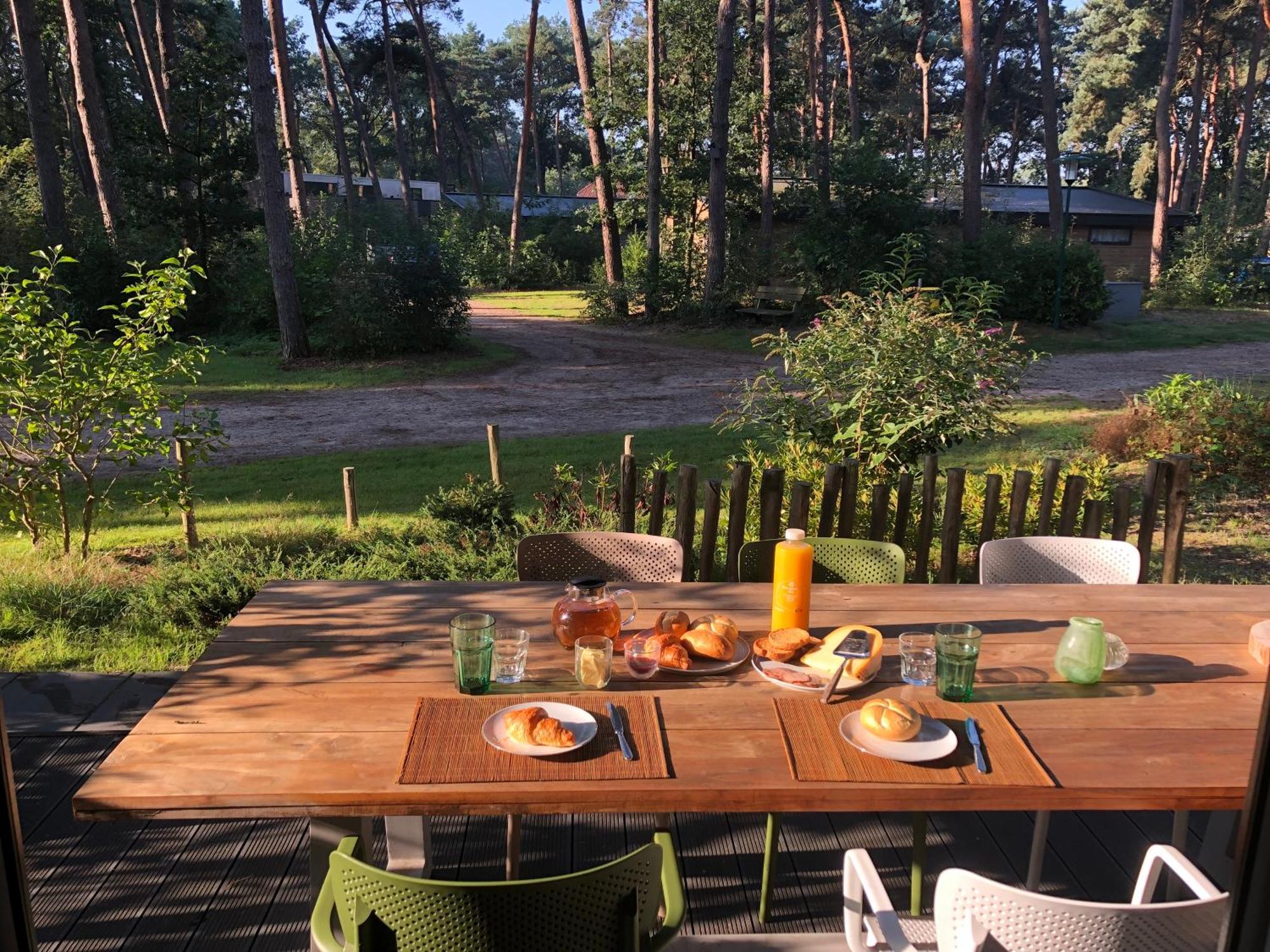 Natuurhuisje Pine & Oak 6 Persoons Hardenberg Kültér fotó